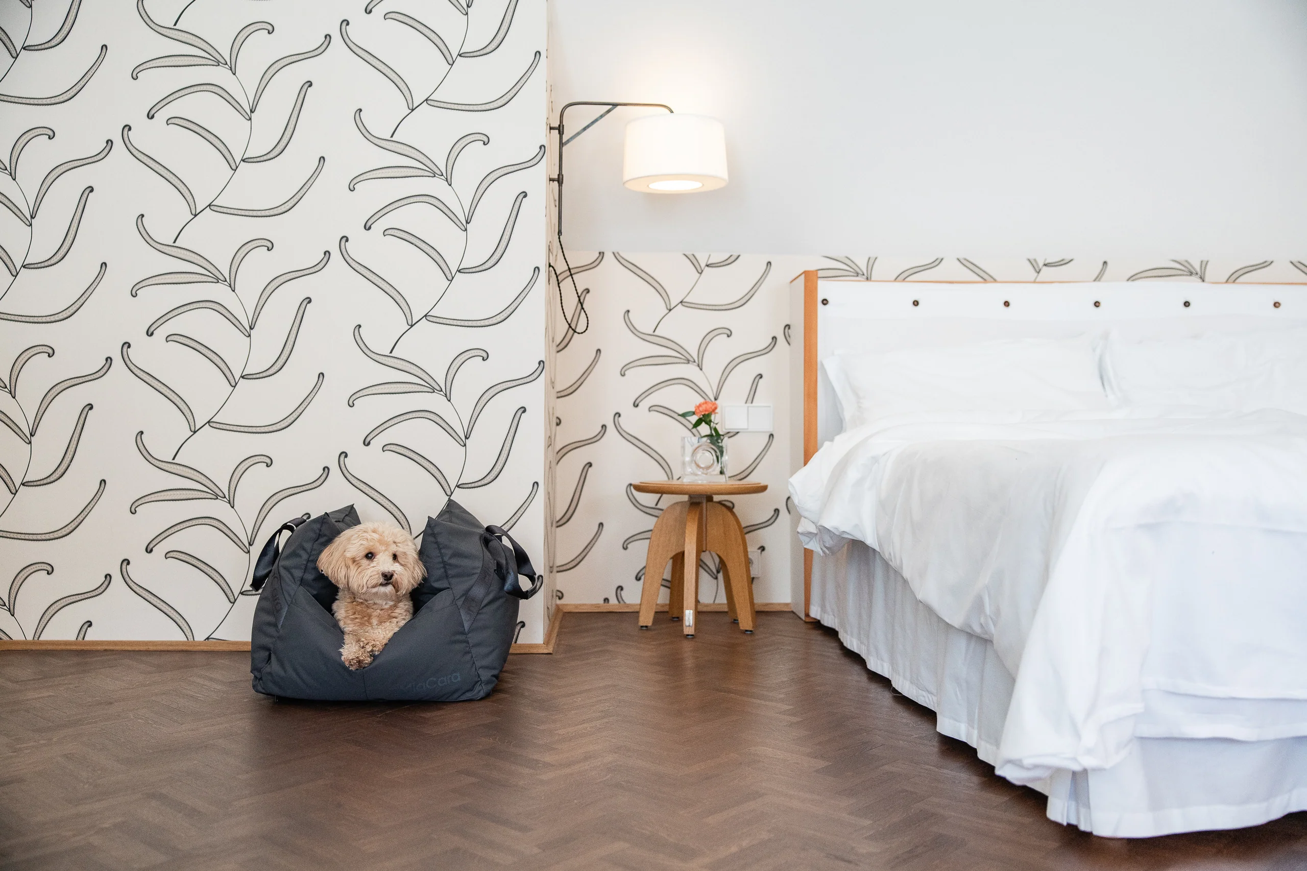 Design trifft auf Tierliebe